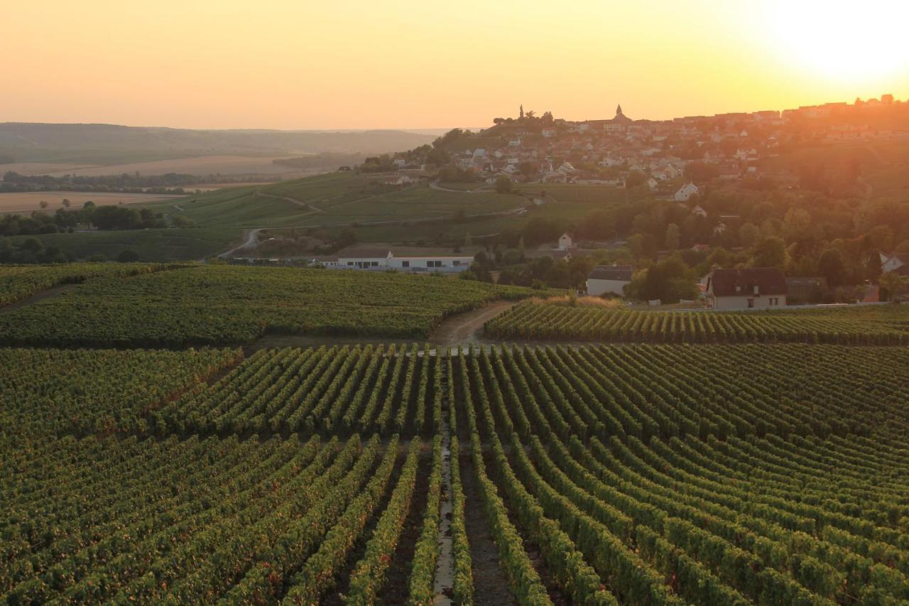 Lodge De La Vigneronne Châtillon-sur-Marne Εξωτερικό φωτογραφία