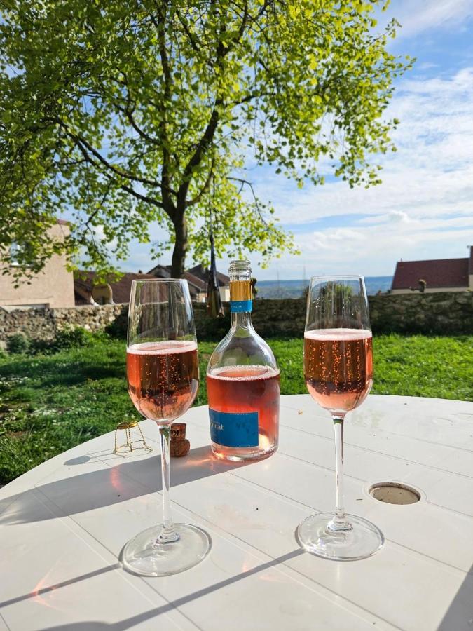 Lodge De La Vigneronne Châtillon-sur-Marne Εξωτερικό φωτογραφία
